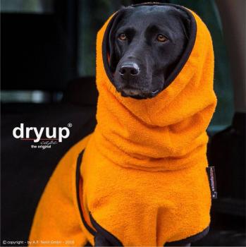 „Dryup Cape“ Trockencape - Hundebademantel clementine